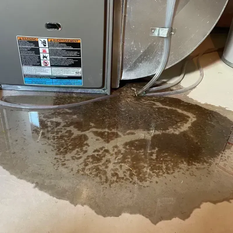 Appliance Leak Cleanup in Honey Grove, TX